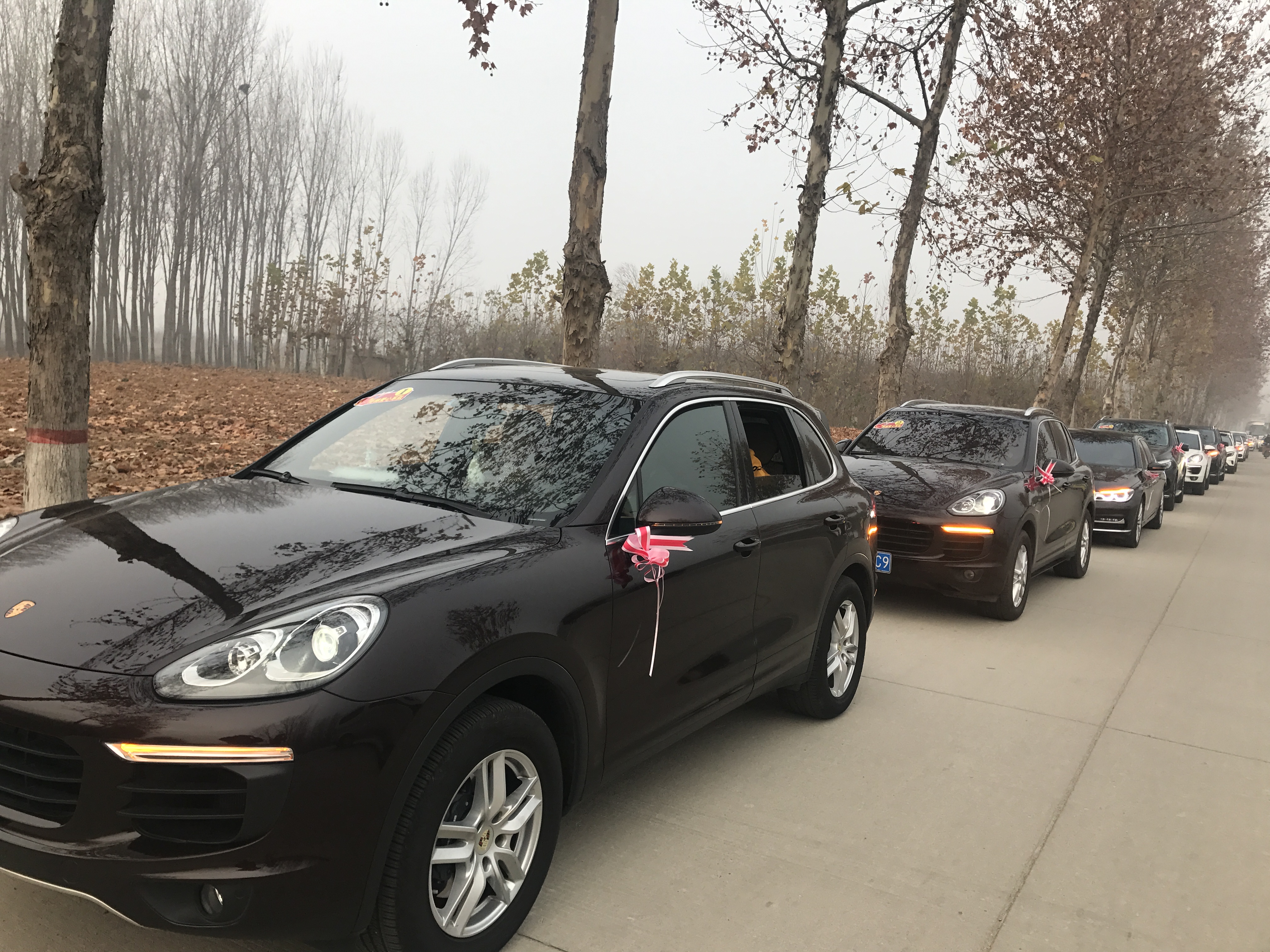 第183所 泰安市岱岳区良庄镇乐鱼网页版登录入口李娜小学