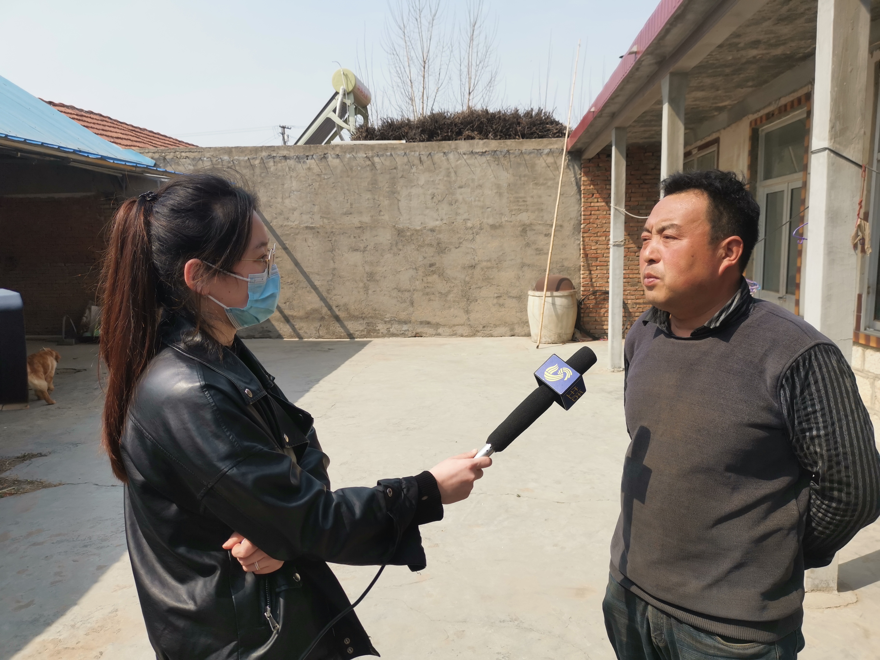 第209所 平度市崔家集镇状元府乐鱼网页版登录入口刘丽新小学 第209所 平度市崔家集镇状元府乐鱼网页版登录入口刘丽新小学