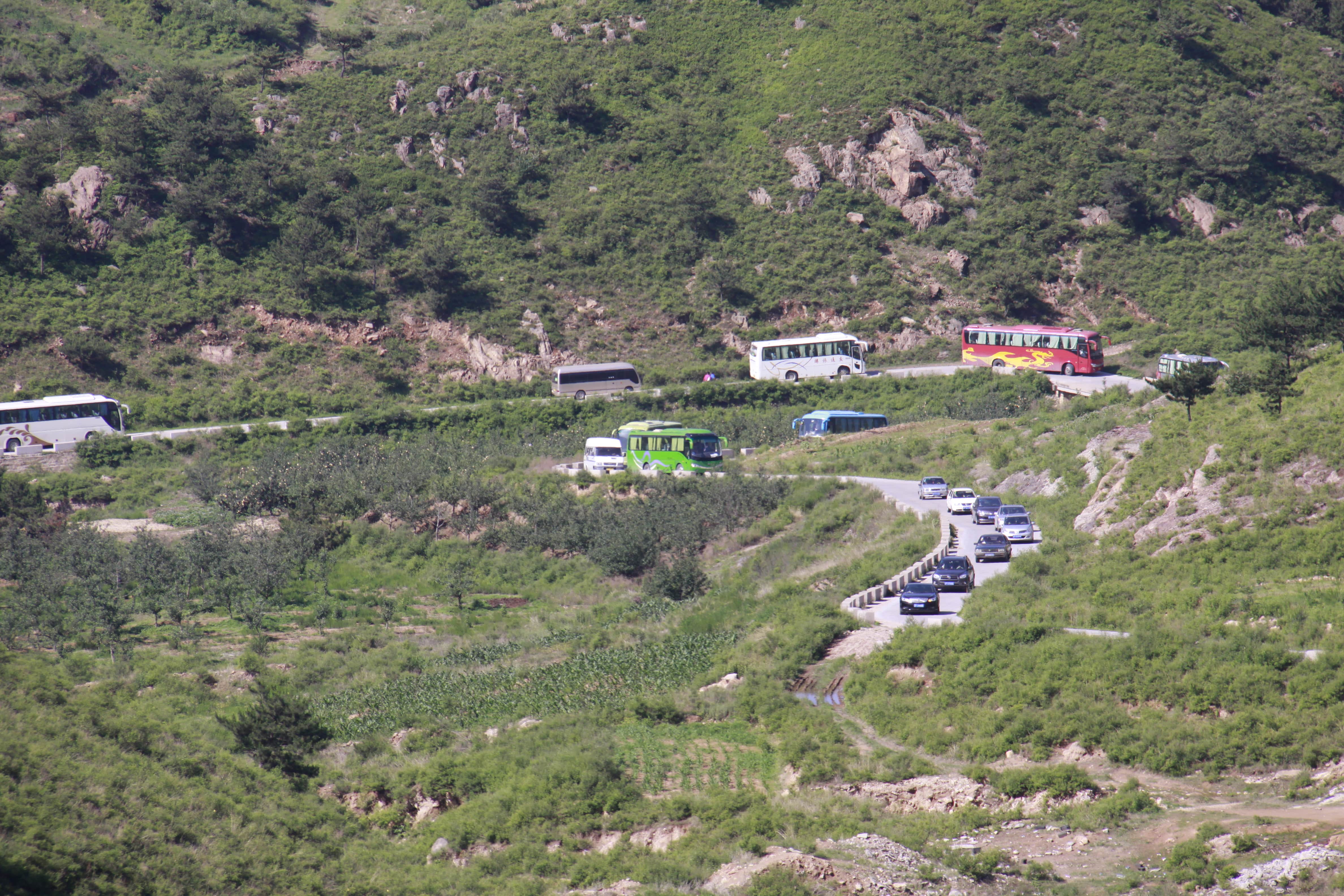 第26所 葫芦岛市永安堡乡乐鱼网页版登录入口张越小学
