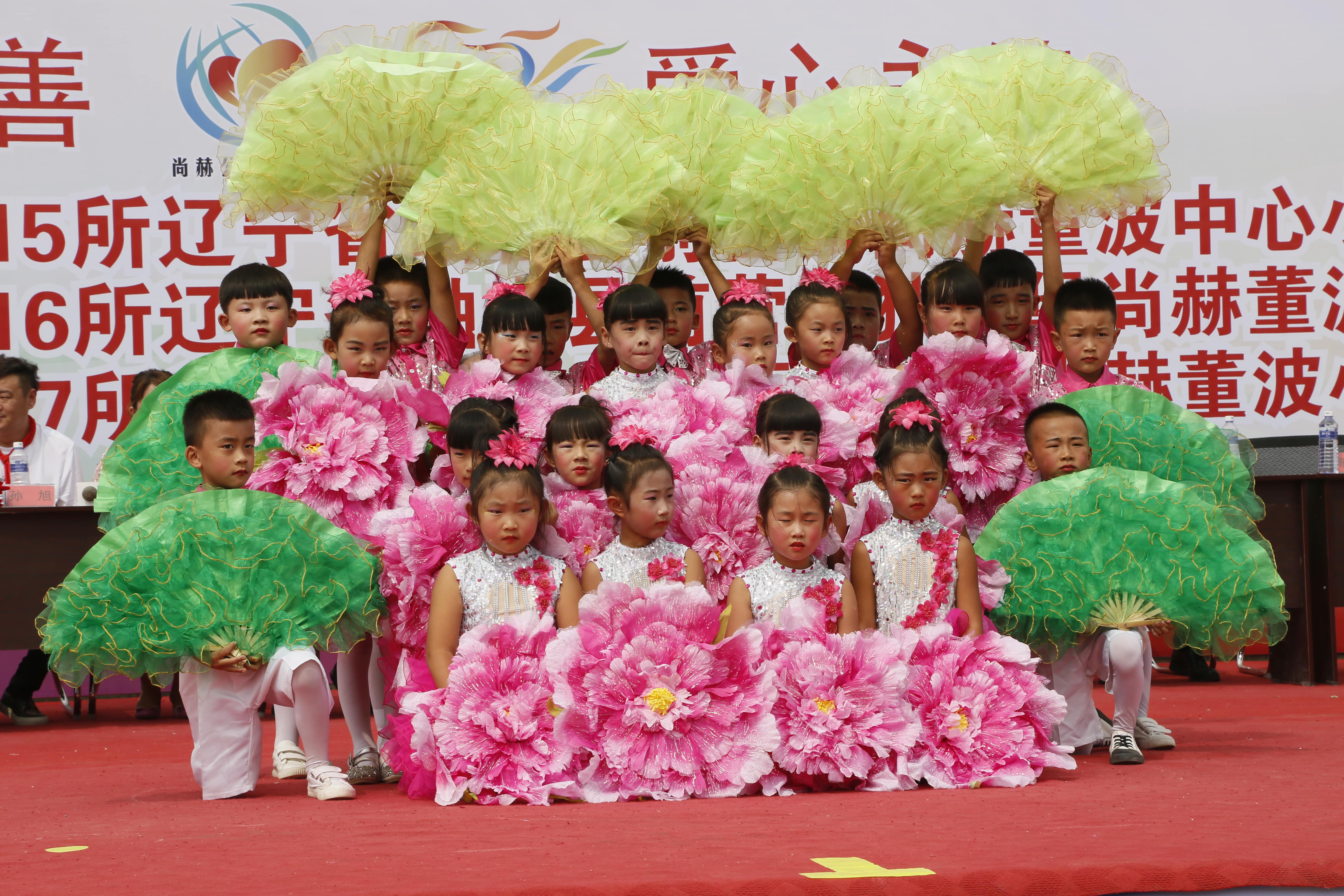 第115所 岫岩县前营镇乐鱼网页版登录入口董波中心小学