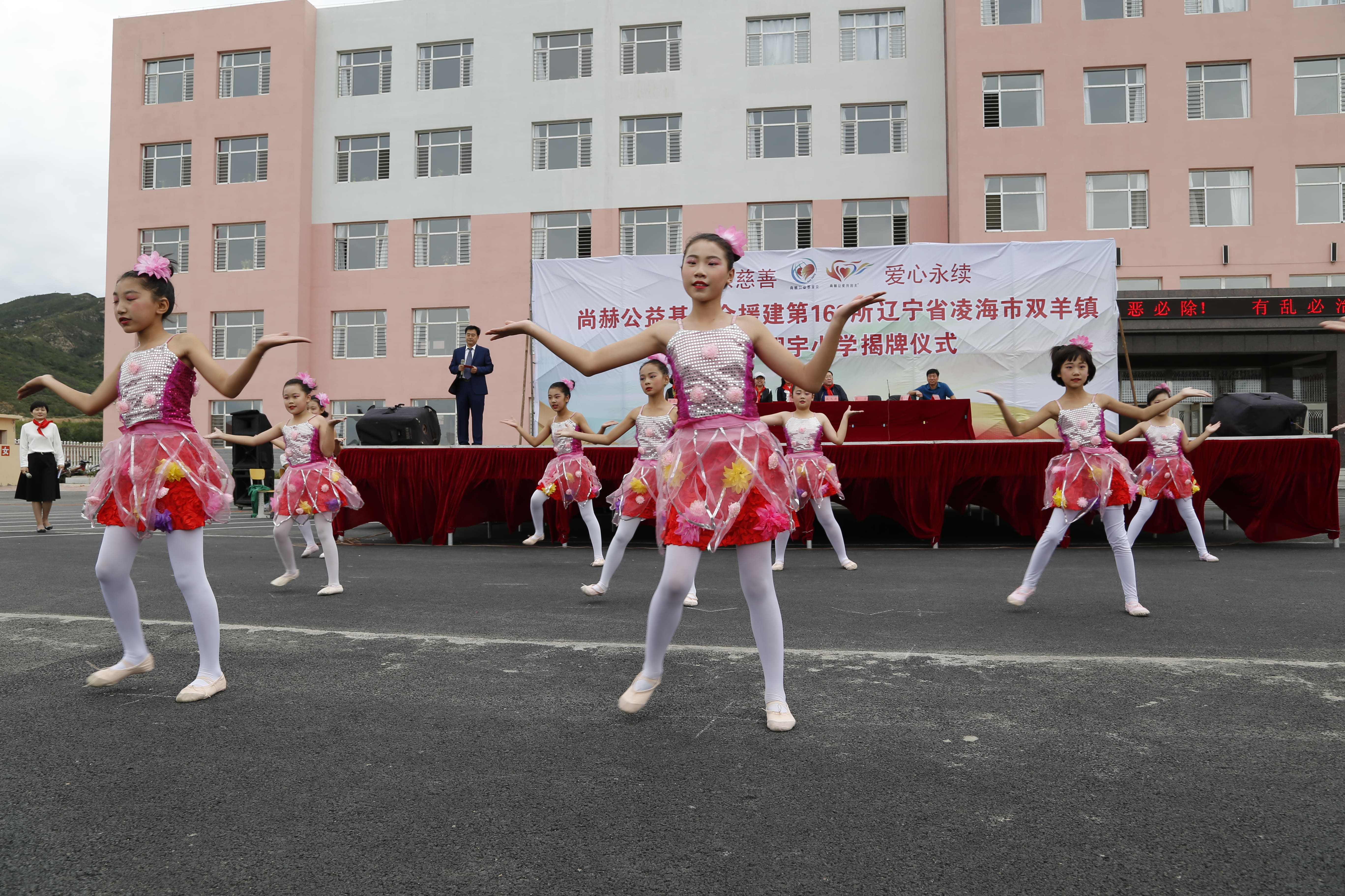 第163所 凌海市双羊镇乐鱼网页版登录入口孙翔宇小学