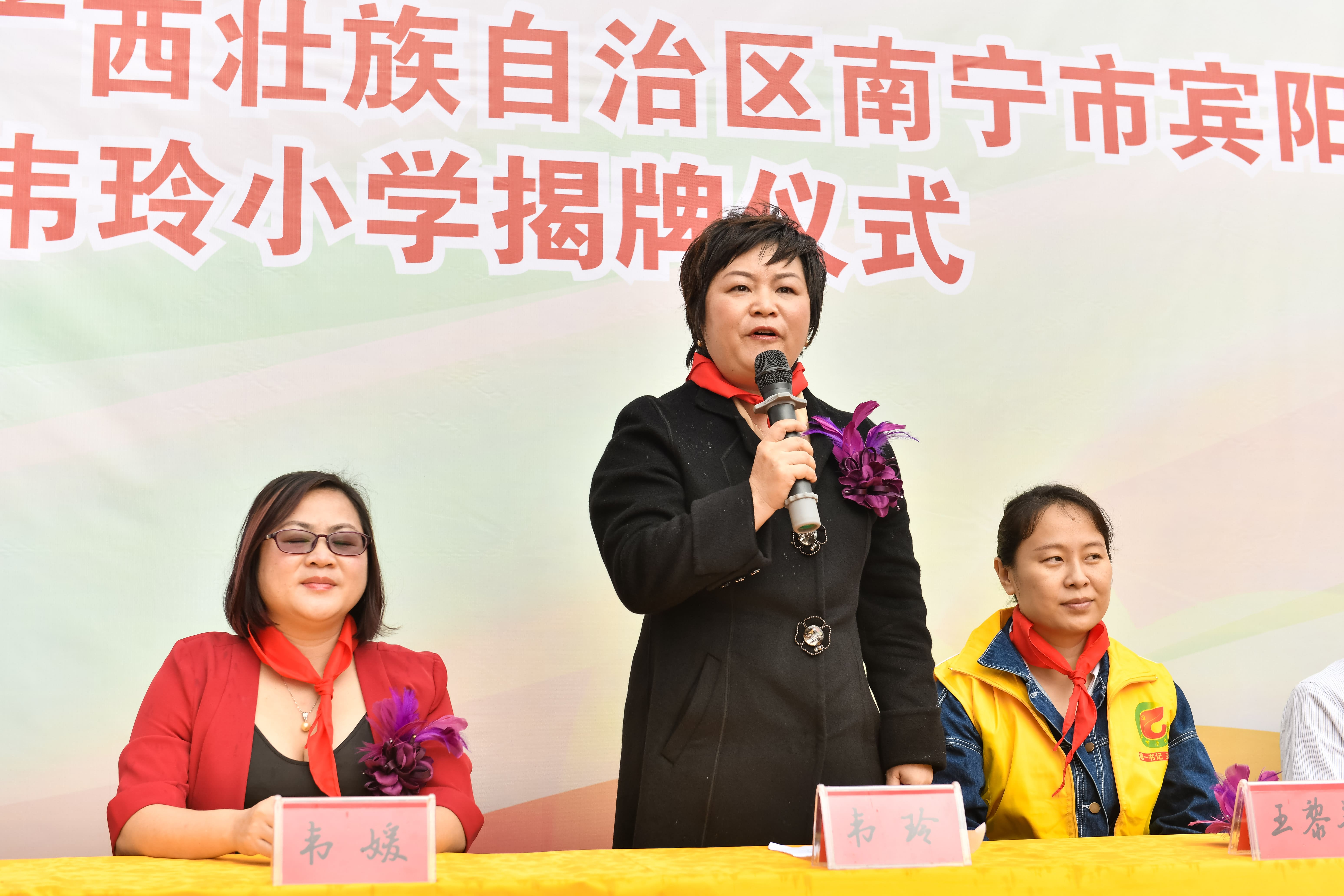 第184所  南宁市宾阳县思陇镇昆仑村乐鱼网页版登录入口韦玲小学